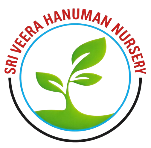 Sri Veera Hanuman Nursery